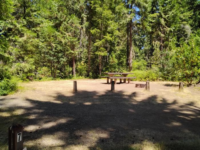 Site 007 partially shaded with picnic table and fire ringSite 007