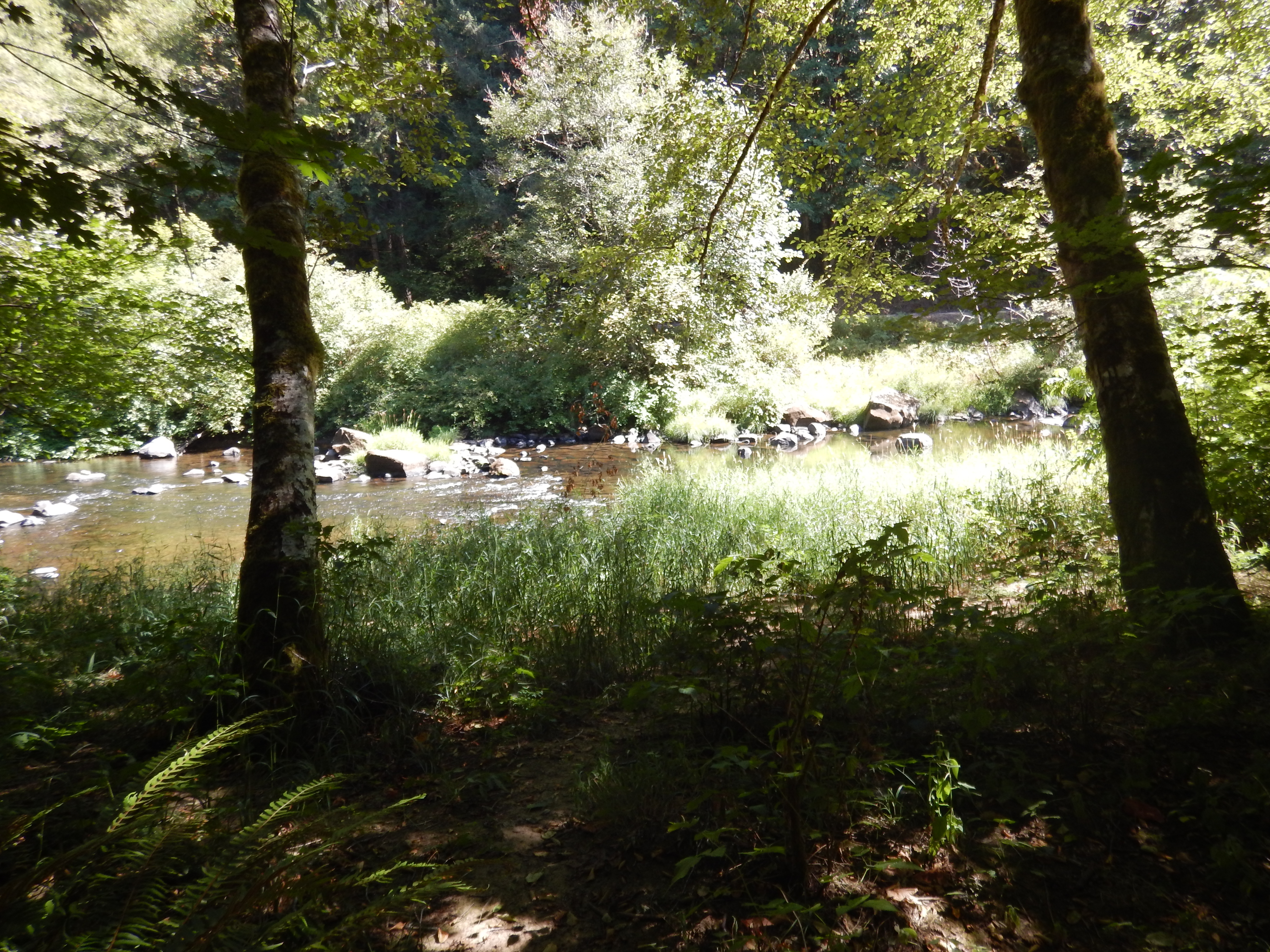 View of Siuslaw river from Whittaker Creek Campground.