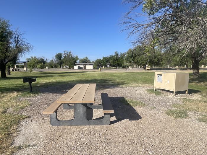Site #59 with bear box, picnic table and grill