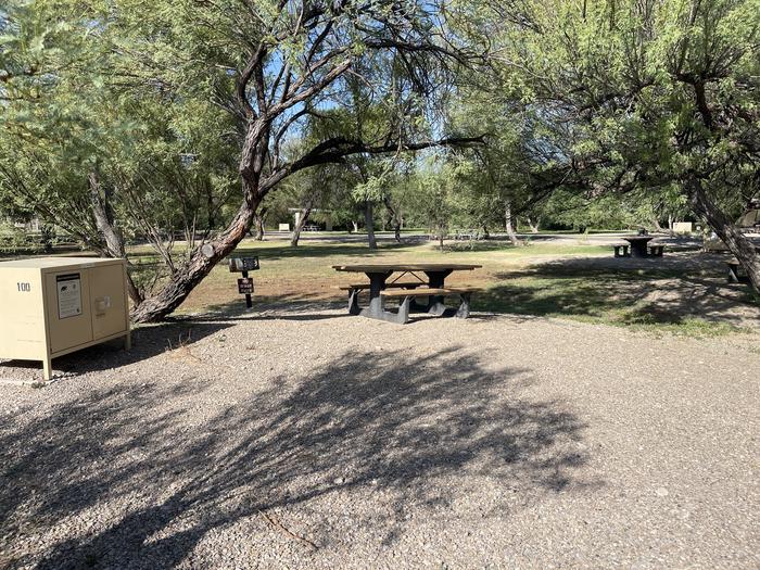 Site #100 with picnic table, grill and bear box