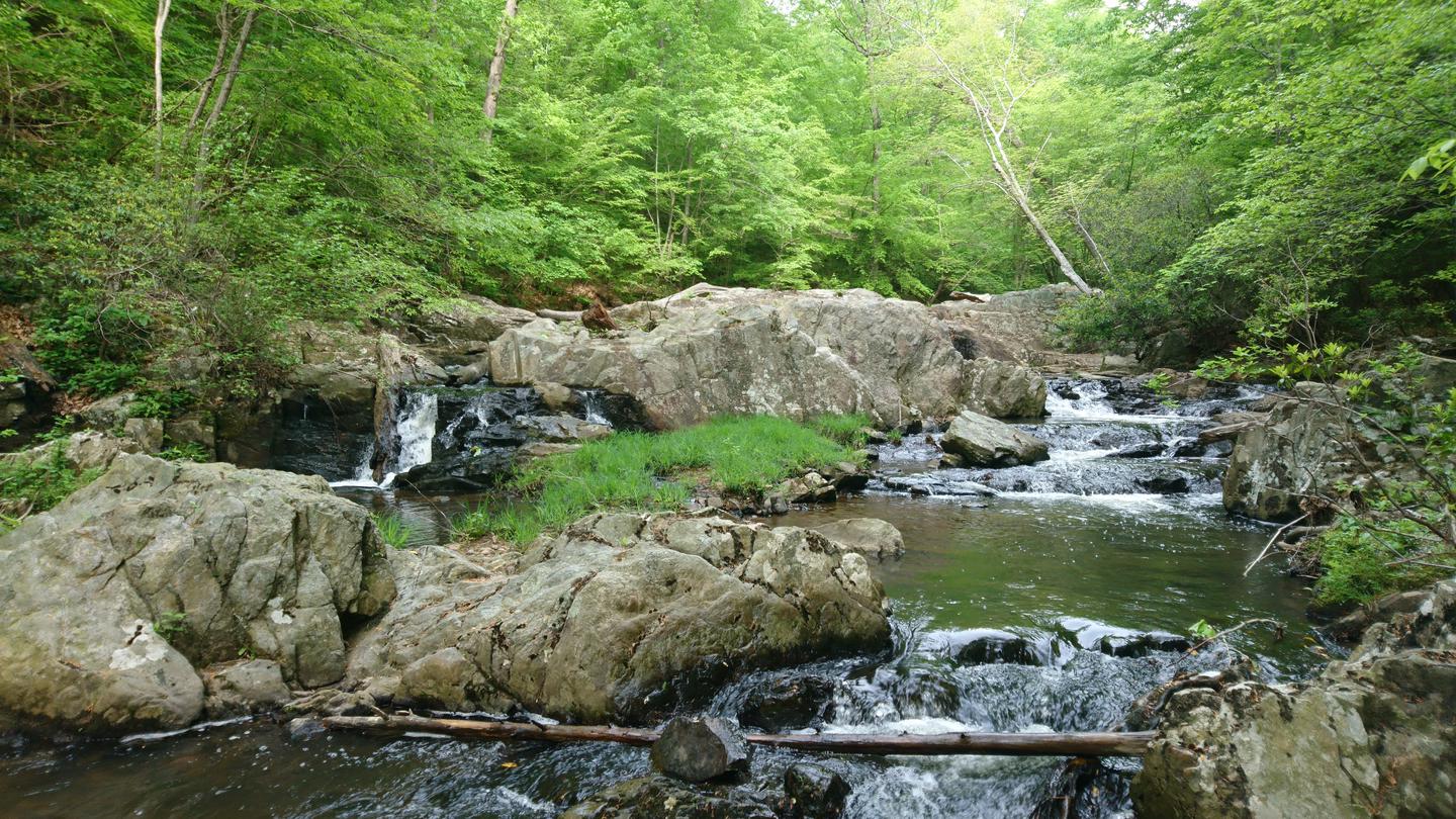 Cascading water flows over and around large grey rocks in a creek in the forestCascades on Quantico Creek