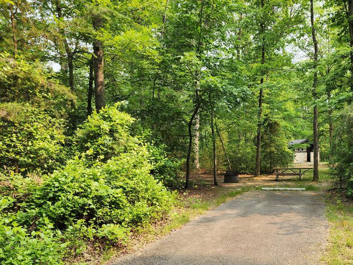 Paved parking area, picnic table, and fire ring are shaded by trees in a campgroundCampsite in Oak Ridge Campground