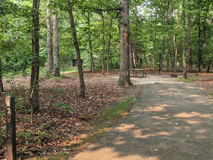 Paved parking space, picnic table, and fire ring in a shaded forest campsiteCampsite A2