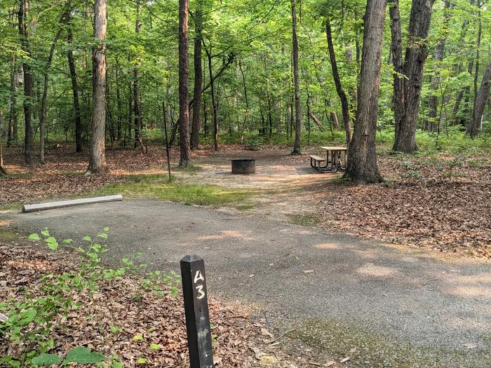 Paved parking space, picnic table, and fire ring in a shaded forest campsiteCampsite A3