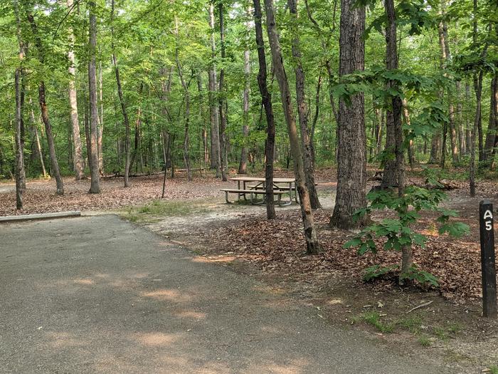 Paved parking space, picnic table, and fire ring in a shaded forest campsiteCampsite A5
