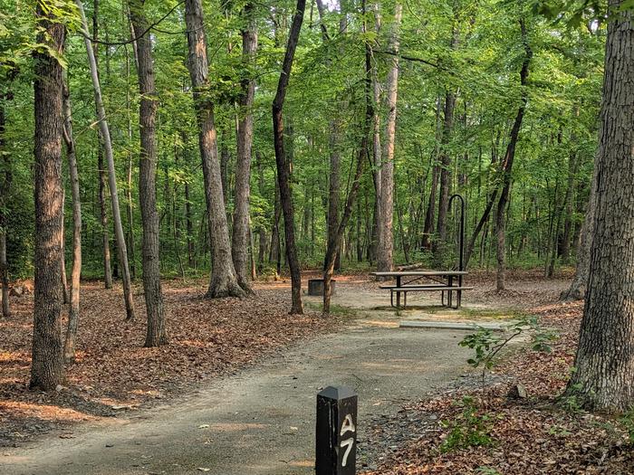 Paved parking space, picnic table, and fire ring in a shaded forest campsiteCampsite A7