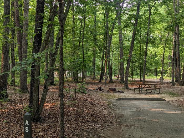 Paved parking space, picnic table, and fire ring in a shaded forest campsiteCampsite A8