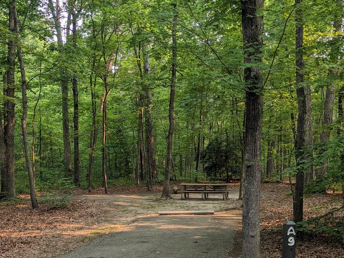 Paved parking space, picnic table, and fire ring in a shaded forest campsiteCampsite A9