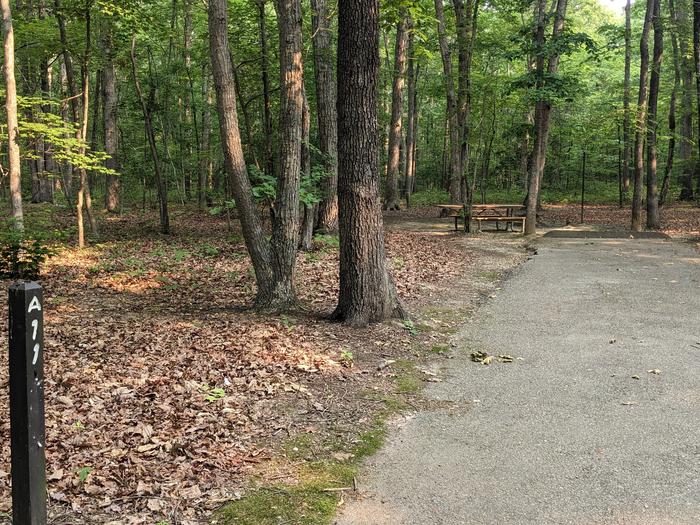 Paved parking space, picnic table, and fire ring in a shaded forest campsiteCampsite A11