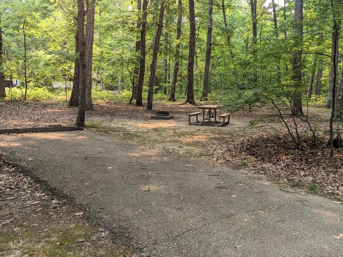 Paved parking space, picnic table, and fire ring in a shaded forest campsiteCampsite A12