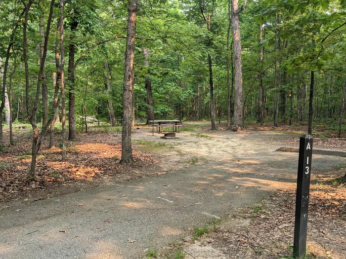 Paved parking space, picnic table, and fire ring in a shaded forest campsiteCampsite A13