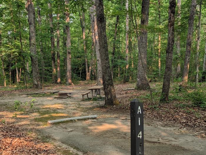 Paved parking space, picnic table, and fire ring in a shaded forest campsiteCampsite A14