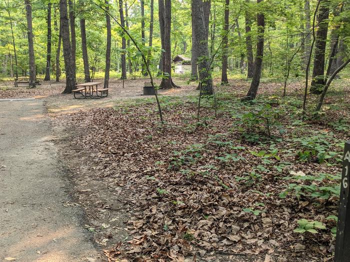 Paved parking space, picnic table, and fire ring in a shaded forest campsiteCampsite A16