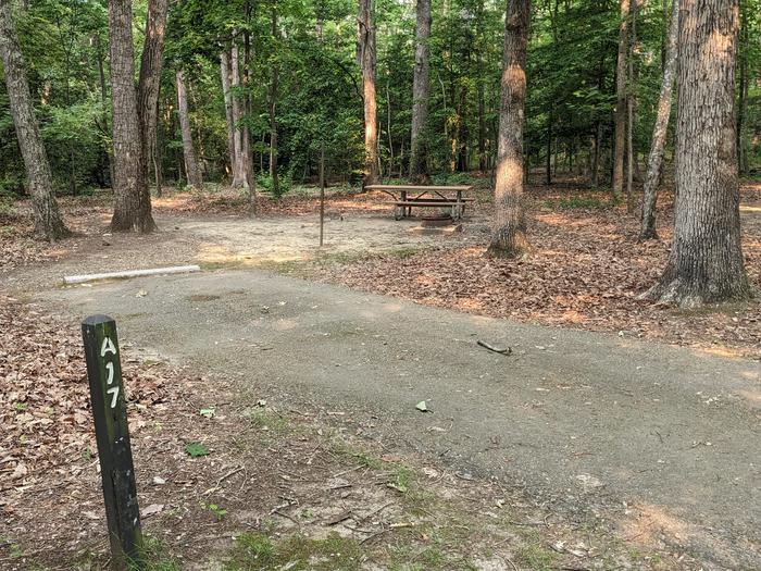 Paved parking space, picnic table, and fire ring in a shaded forest campsiteCampsite A17