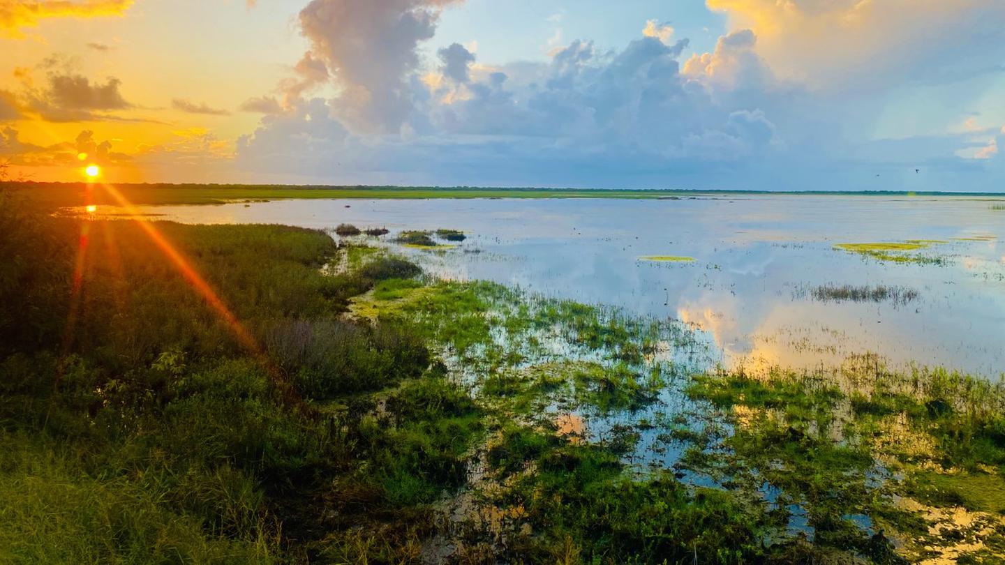 A view across a marsh area with a pool of blue water and warm toned sunset in the backgroundSunset at Laguna Atascosa NWR
