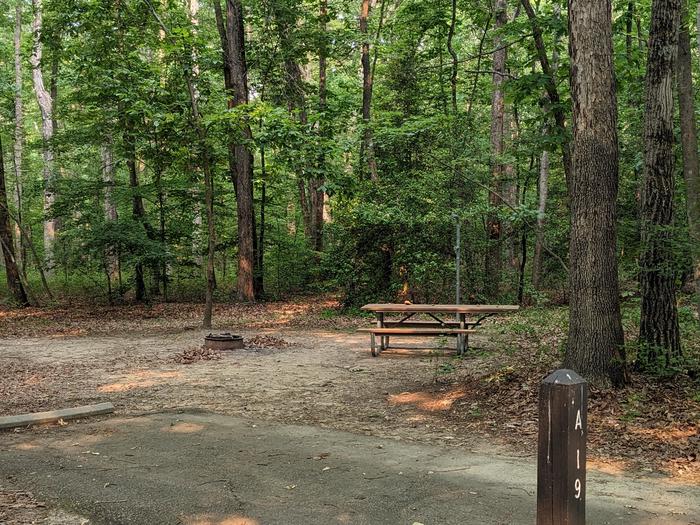 Paved parking space, picnic table, and fire ring in a shaded forest campsiteCampsite A19