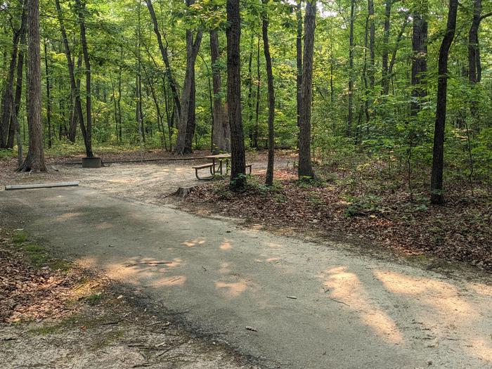 Paved parking space, picnic table, and fire ring in a shaded forest campsiteCampsite A20