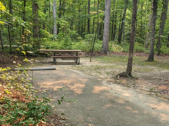 Paved parking space, picnic table, and fire ring in a shaded forest campsiteCampsite A22