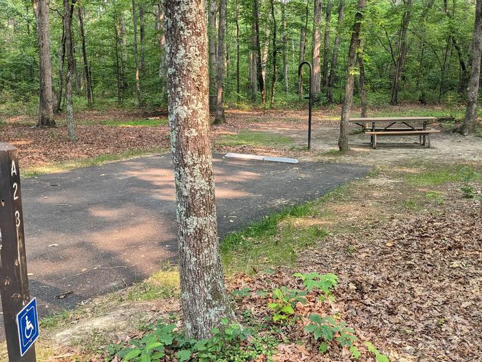 Wide paved handicapped parking space, picnic table, and fire ring in a shaded forest campsiteCampsite A23