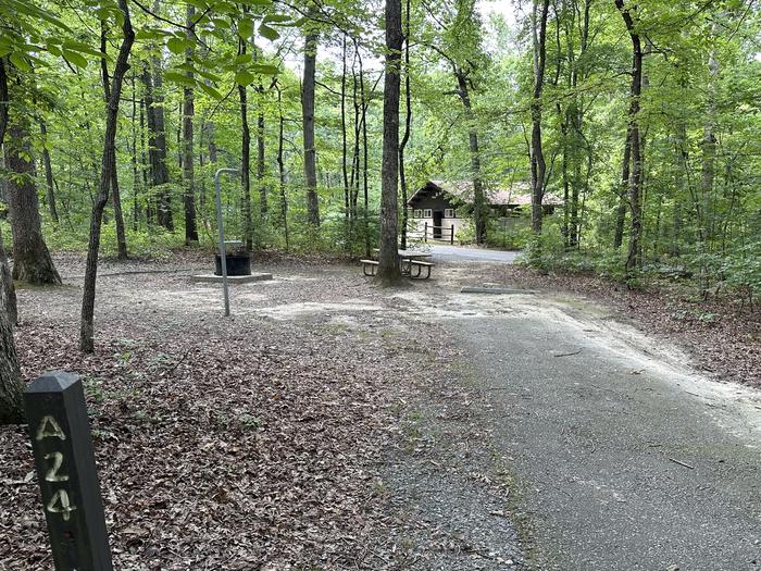 Paved parking space, picnic table, and fire ring in a shaded forest campsiteCampsite A24