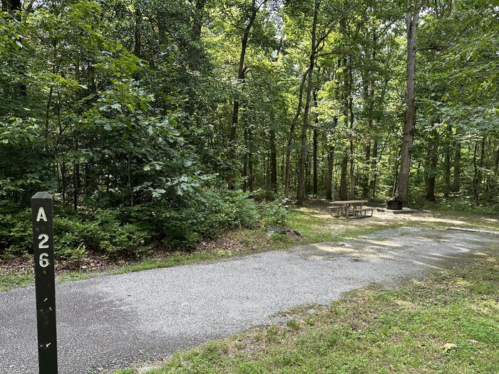 Paved parking space, picnic table, and fire ring in a shaded forest campsiteCampsite A26