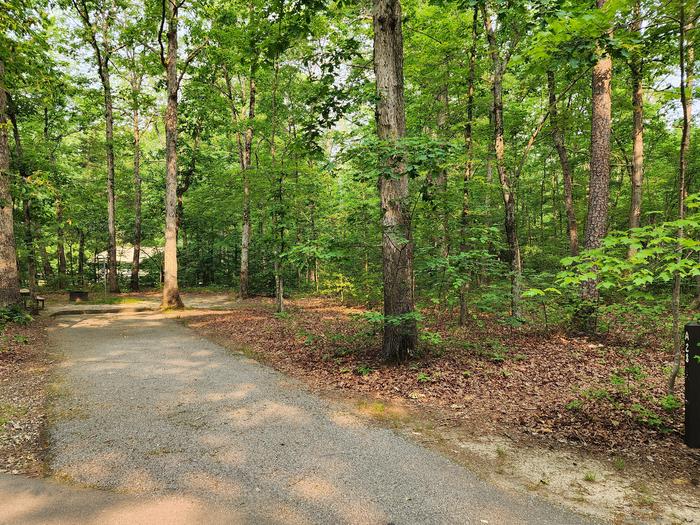 Paved parking space, picnic table, and fire ring in a shaded forest campsiteCampsite A28