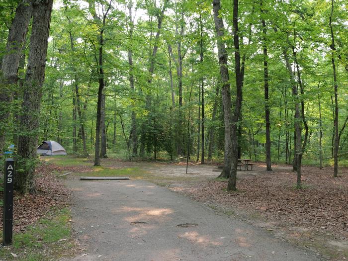 Paved parking space, picnic table, and fire ring in a shaded forest campsiteCampsite A29