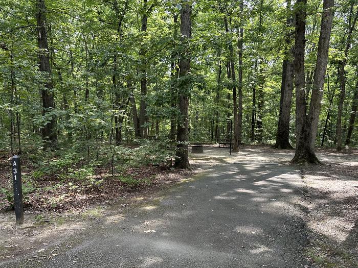 Paved parking space, picnic table, and fire ring in a shaded forest campsiteCampsite A31