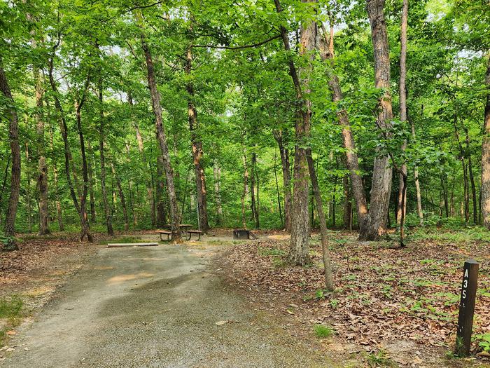 Paved parking space, picnic table, and fire ring in a shaded forest campsiteCampsite A35