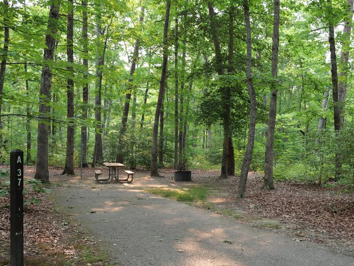 Paved parking space, picnic table, and fire ring in a shaded forest campsiteCampsite A37