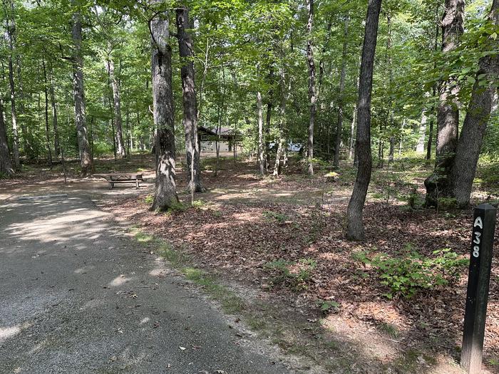 Paved parking space, picnic table, and fire ring in a shaded forest campsiteCampsite A38