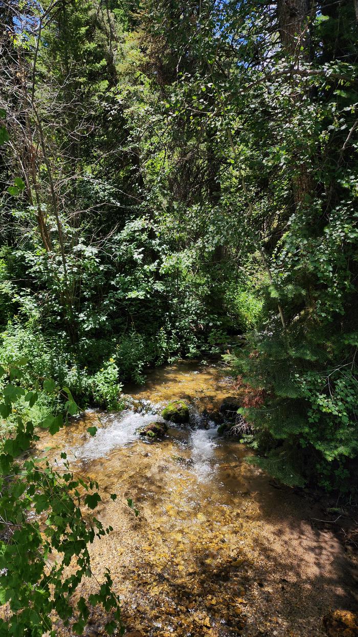 The creek at Malad Summit