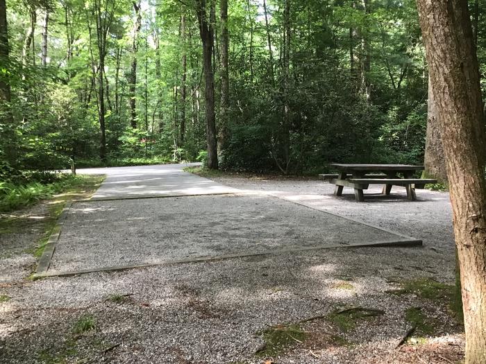 Davidson River Campground - White Oak Loop, Site 22. One site from bathhouse. Across the road from water spigot. 