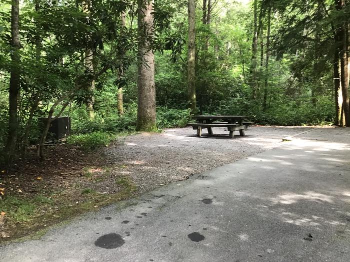 Davidson River Campground - White Oak Loop, Site 22. One site from bathhouse. Across the road from water spigot. 