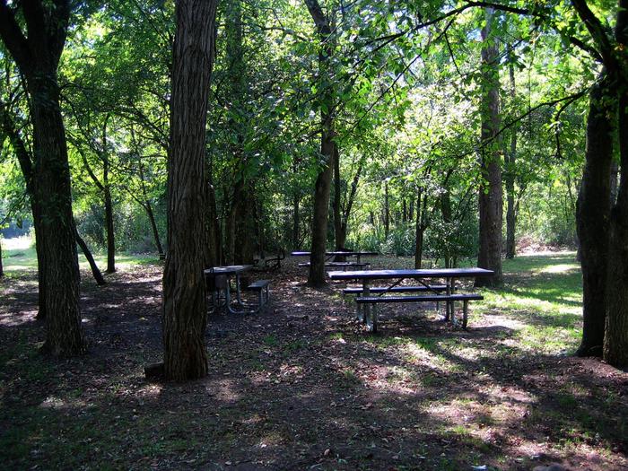 Army Camp Picnic AreaDay use picnic tables at Army Camp allow visitors to enjoy a meal near the New River.