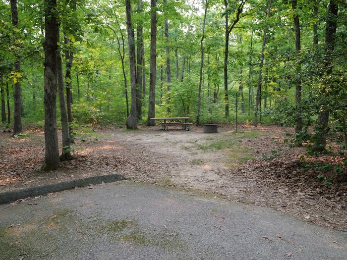 Paved parking space, picnic table, and fire ring in a shaded forest campsiteCampsite A39