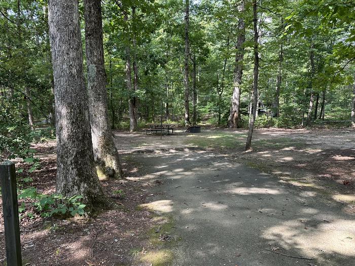 Paved parking space, picnic table, and fire ring in a shaded forest campsiteCampsite A40