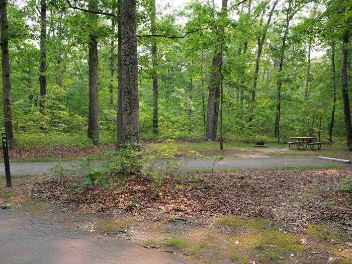 Paved parking space, picnic table, and fire ring in a shaded forest campsiteCampsite A41