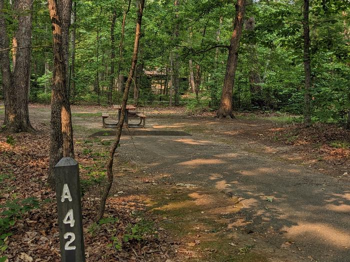 Paved parking space, picnic table, and fire ring in a shaded forest campsiteCampsite A42
