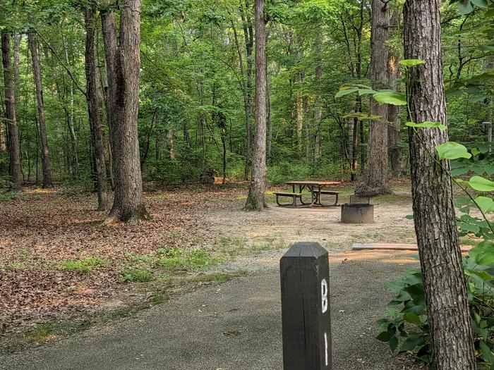 Paved parking space, picnic table, and fire ring in a shaded forest campsiteCampsite B1