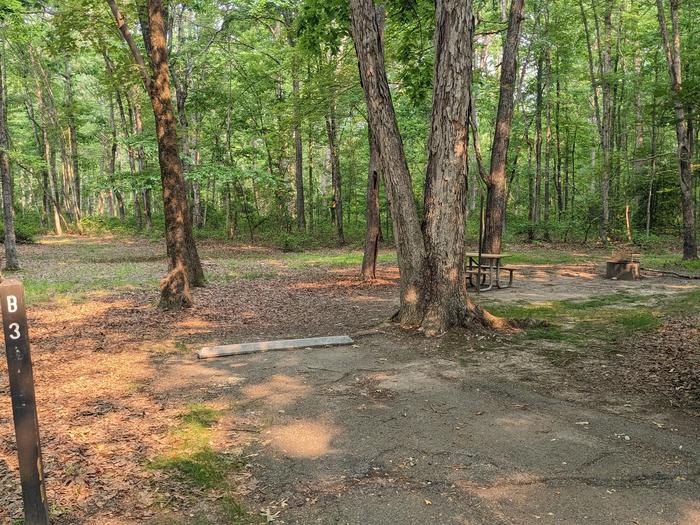 Paved parking space, picnic table, and fire ring in a shaded forest campsiteCampsite B3