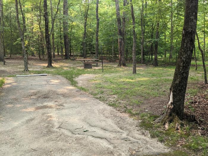 Paved parking space, picnic table, and fire ring in a shaded forest campsiteCampsite B4
