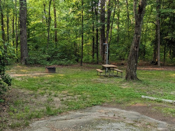 Paved parking space, picnic table, and fire ring in a shaded forest campsiteCampsite B5