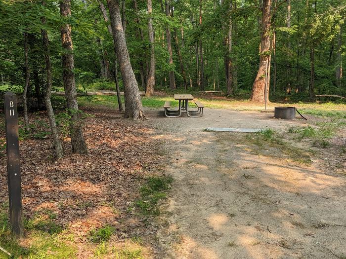 Paved parking space, picnic table, and fire ring in a shaded forest campsiteCampsite B11