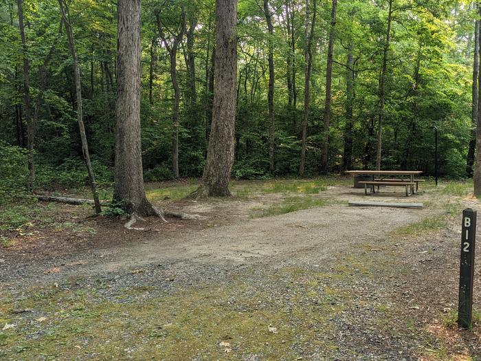 Paved parking space, picnic table, and fire ring in a shaded forest campsiteCampsite B12
