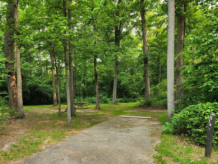 Paved parking space, picnic table, and fire ring in a shaded forest campsiteCampsite B14