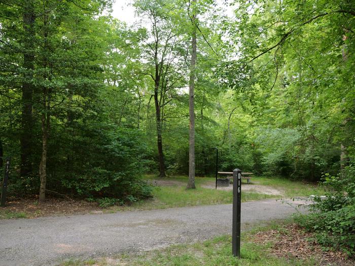 Paved parking space, picnic table, and fire ring in a shaded forest campsiteCampsite B16