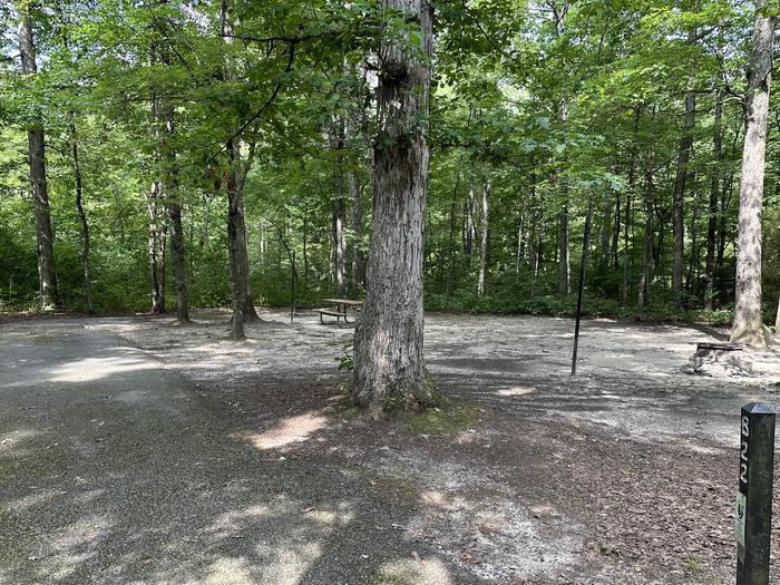 Paved parking space, picnic table, and fire ring in a shaded forest campsiteCampsite B22