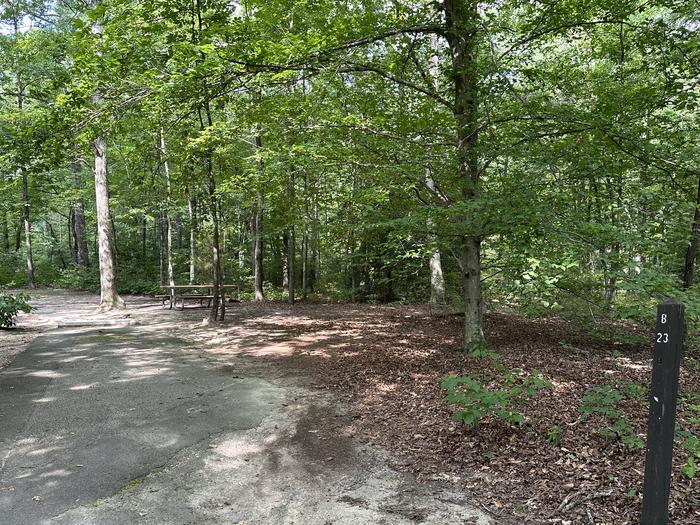Paved parking space, picnic table, and fire ring in a shaded forest campsiteCampsite B23