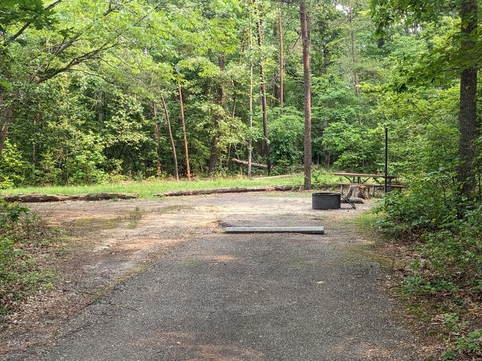 Paved parking space, picnic table, and fire ring in a shaded forest campsiteCampsite C3